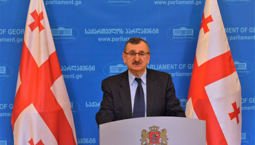 The briefing by the Chair of the Faction “National Movement”, Roman Gotsiridze