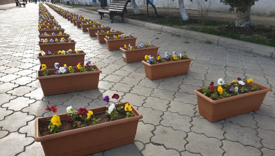 More than 1000 balconies in Rustavi to be decorated with flowers with the initiative of Rustavi Single Mandate MP, Giorgi Begadze