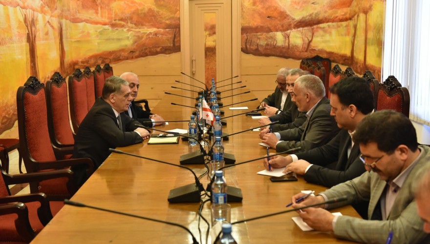 რომან კაკულია ირანის ისლამური რესპუბლიკის პარლამენტის საქართველოსთან მეგობრობის ჯგუფის წევრებს შეხვდა