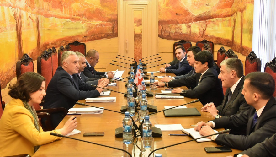 The meeting of Zviad Dzidziguri with the Chair of the Azerbaijan's State Committee on Work with Diaspora