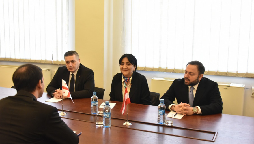 The meeting of Irma Inashvili and Giorgi Lomia with the Austrian Ambassador