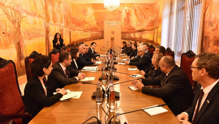The meeting of Zviad Dzidziguri with the Delegation of Czech Senate