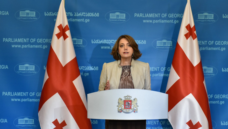 სალომე სამადაშვილის ბრიფინგი