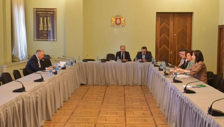 The Thematic Inquiry Group on Disinformation and Propaganda heard the Deputy Chief of State Security Service, Grigol Liluashvili