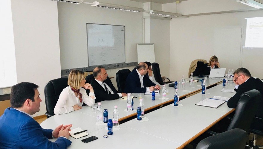 The working meetings of Nino Tsilosani and Levan Koberidze in Ljubljana