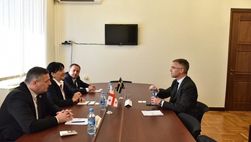 The meeting of Irma Inashvili with the Swedish Ambassador
