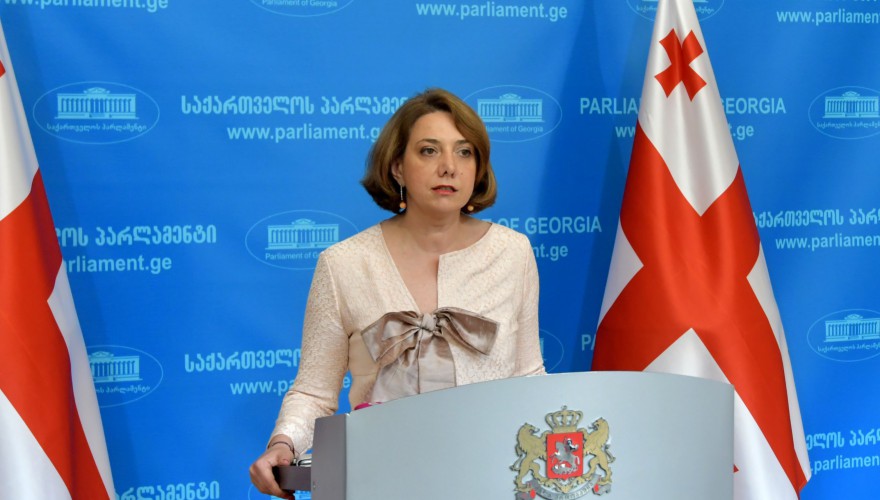 საქართველოს პარლამენტის წევრის, სალომე სამადაშვილის ბრიფინგი
