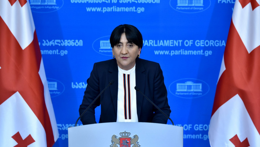 Irma Inashvili: developments in the Parliament were the planned provocations
