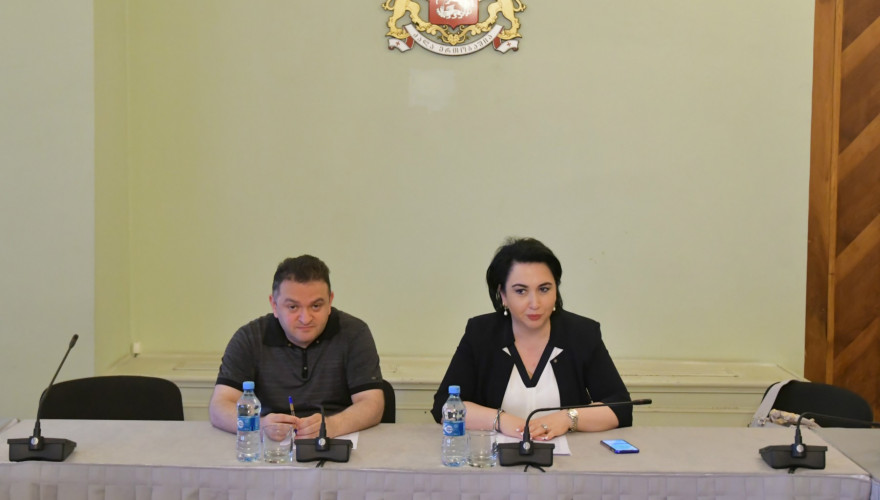 The meeting of Eka Beselia and Gedevan Popkhadze with the group of independent lawyers