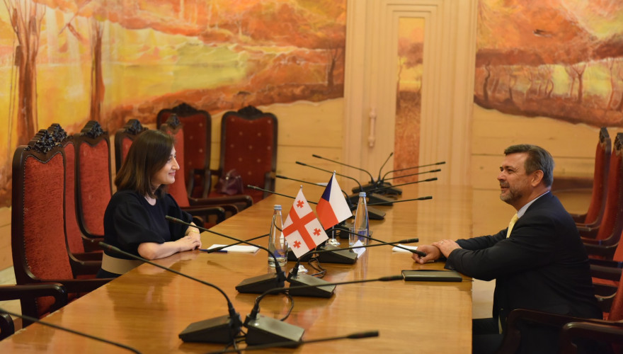 ნინო გოგუაძემ ჩეხეთის რესპუბლიკის ახლად დანიშნულ ელჩთან, პეტრ მიკისკასთან გაცნობითი შეხვედრა გამართა