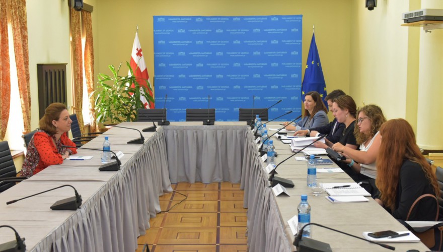 სალომე სამადაშვილი აშშ-ის კონგრესის საგარეო ურთიერთობათა კომიტეტის აპარატის დელეგაციას შეხვდა