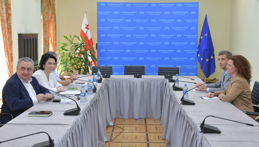 ეკა ბესელია და ზვიად კვაჭანტირაძე საქართველოში ევროკავშირის წარმომადგენლობის პოლიტიკის, პრესისა და ინფორმაციის განყოფილების ხელმძღვანელს, ასუნსიონ სანჩეს-რუიზს შეხვდნენ