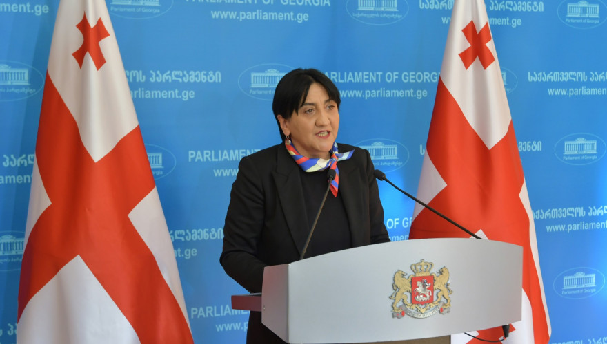 The briefing by Irma Inashvili