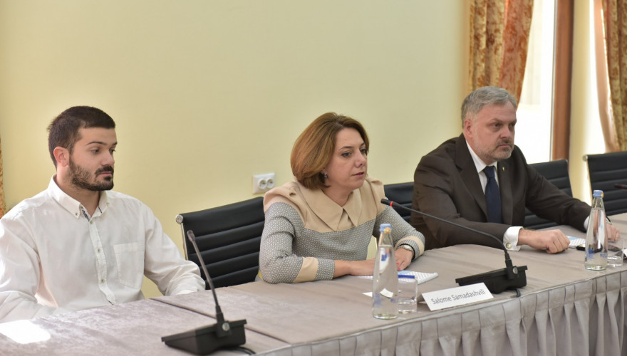 სალომე სამადაშვილი ნატოს საპარლამენტო ასამბლეის პრეზიდენტს შეხვდა