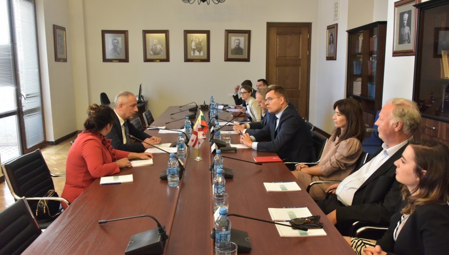Meeting of Irakli Sesiashvili with Members of Lithuanian Sejm