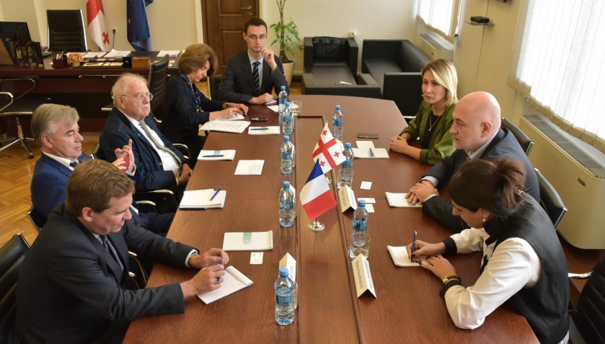 Meeting of Dimitri Tskitishvili with the France-Caucasus Parliamentary Friendship Group Members