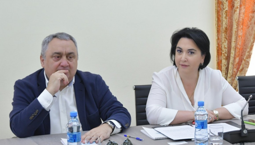 საქართველოს პარლამენტის დამოუკიდებელმა წევრებმა ეკა ბესელიამ და ზვიად კვაჭანტირაძემ საკანონმდებლო ინიციატივის წესით პარლამენტს წარუდგინეს კანონპროექტი - მსუბუქი ავტომობილებით გადაადგილების დროს, საბავშვო სავარძლების გამოყენების ვალდებულების თაობაზე