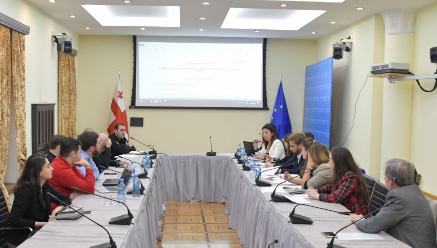 გარემოს დაცვისა და ბუნებრივი რესურსების კომიტეტის წევრების შეხვედრა ექსპერტებთან