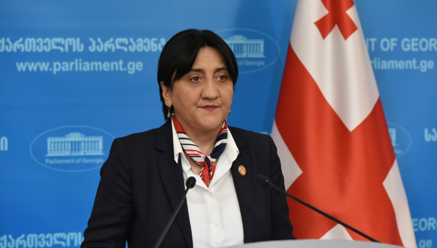 The Briefing by Irma Inashvili dedicated to the Parliamentary Elections 2020