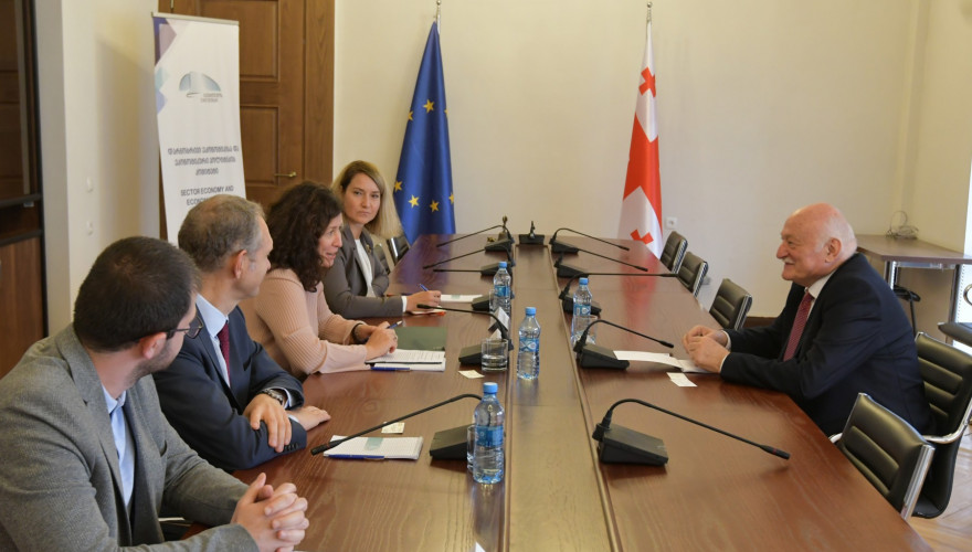 The meeting of Revaz Arveladze with the Deputy Minister of Energy of Lithuania