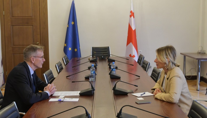 The meeting of Nino Tsilosani with the Non-Resident Ambassador of Iceland, H.E. Benedikt Ásgeirsson