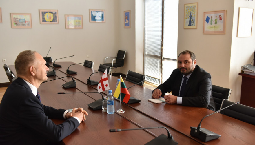 The meeting of Beka Natsvlishvili with the Ambassador of Lithuania