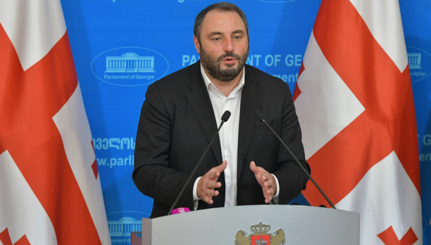 Beka Natsvlishvili registering the Bill on Minimal Salary