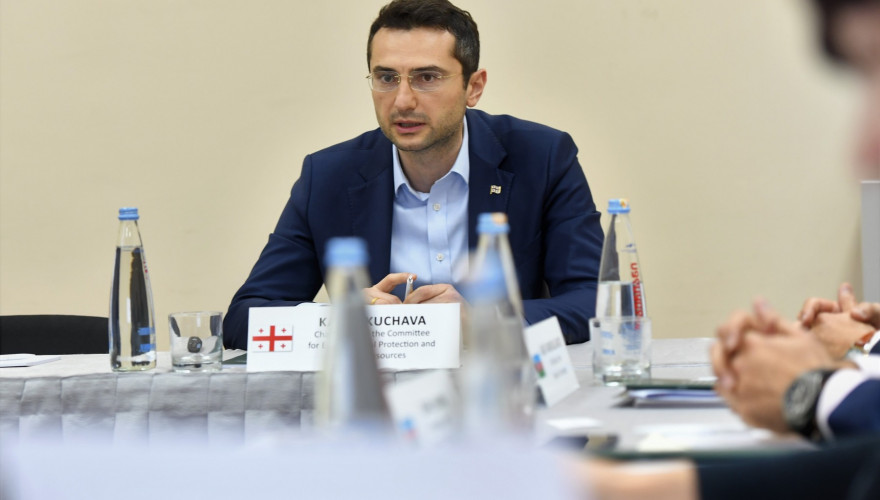 კახა კუჭავა აღმოსავლეთ პარტნიორობის წევრი ქვეყნების პარლამენტის აპარატის თანამშრომლებს შეხვდა