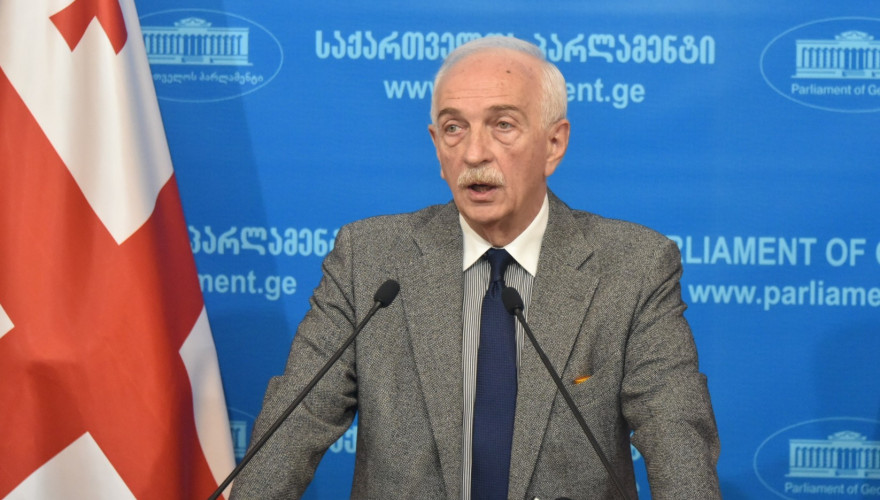 პარლამენტის წევრის, გია ჟორჟოლიანის ბრიფინგი