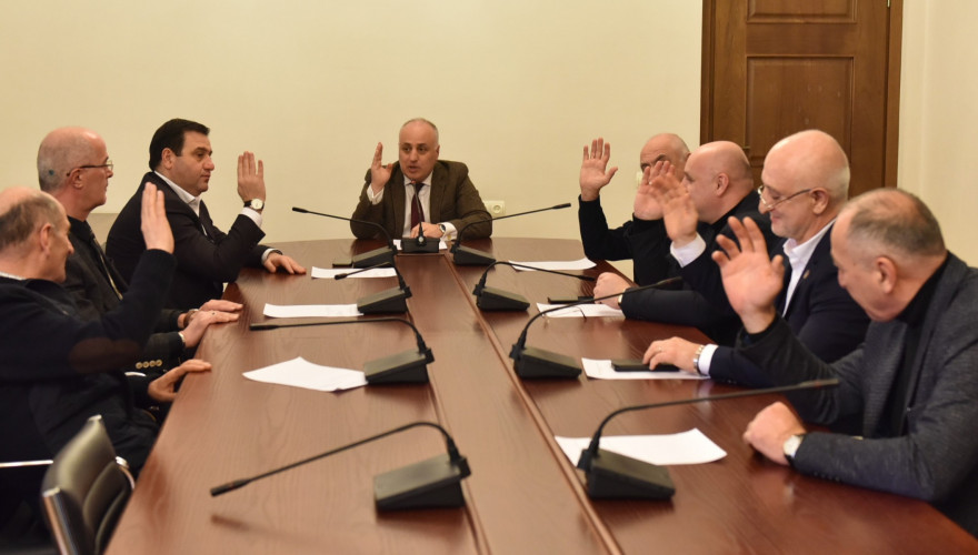 კობა ნაკაიძე ჯანმრთელობის დაცვისა და სოციალურ საკითხთა კომიტეტის თავმჯდომარის მოადგილედ აირჩიეს