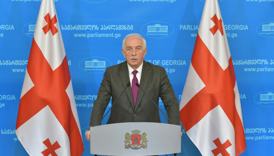 პარლამენტის წევრის გია ჟორჟოლიანის ბრიფინგი