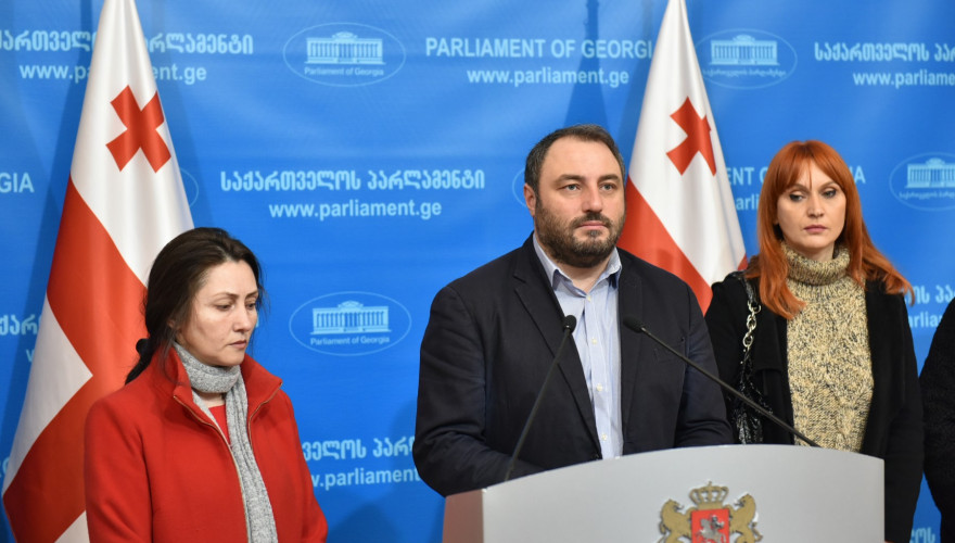The Briefing by the Independent MP, Beka Natsvlishvili