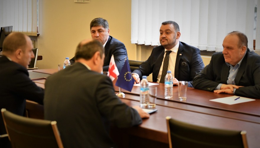 ბექა ოდიშარია და გივი ჭიჭინაძე საგარეო საქმეთა სამინისტროს წარმომადგენლებს შეხვდნენ