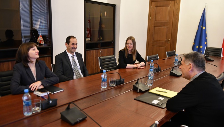 რომან კაკულია ევროპის ენერგეტიკული გაერთიანების სამდივნოს დირექტორს შეხვდა