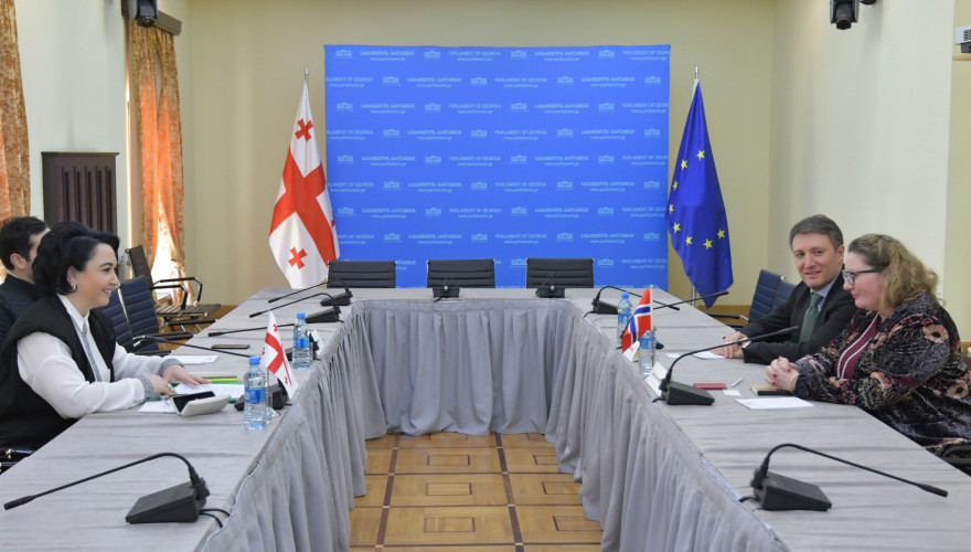 ეკა ბესელია ნორვეგიის სამეფოს საგანგებო და სრულუფლებიან ელჩს, ჰელენ სანდ ანდრესენს შეხვდა