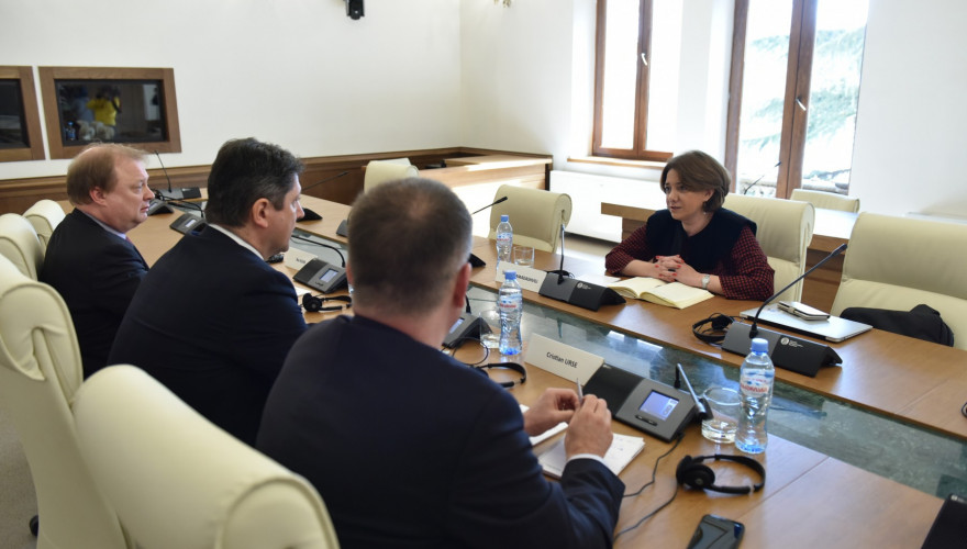 სალომე სამადაშვილი ევროპის საბჭოს საპარლამენტო ასამბლეის მონიტორინგის კომიტეტის წევრებს შეხვდა