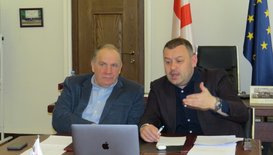 Video Conference by Beka Odisharia and Givi Chichinadze with Georgian Embassies and Diasporas Abroad