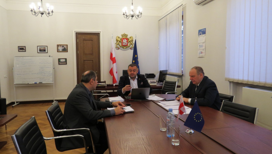 Beka Odisharia and Givi Chichinadze heard the updated information from the Ministry of Foreign Affairs