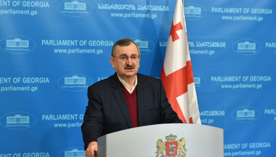 The briefing by the Chair of the Faction “National Movement”, Roman Gotsiridze