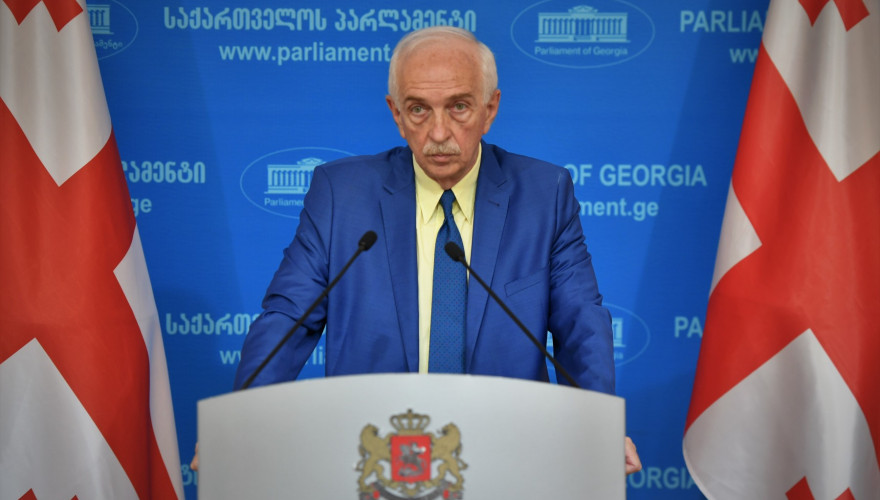 პარლამენტის წევრის გია ჟორჟოლიანის ბრიფინგი 