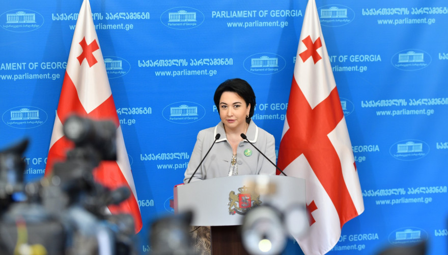 ეკა ბესელიამ პარლამენტში ნარკოტიკული საშუალებების მოხმარებისთვის მსჯავრდებულ პირთა მიმართ ამნისტიის კანონპროექტი დააინიცირა