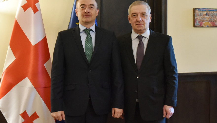 გიორგი ვოლსკი საქართველოში ევროპის საბჭოს ოფისის ხელმძღვანელს შეხვდა