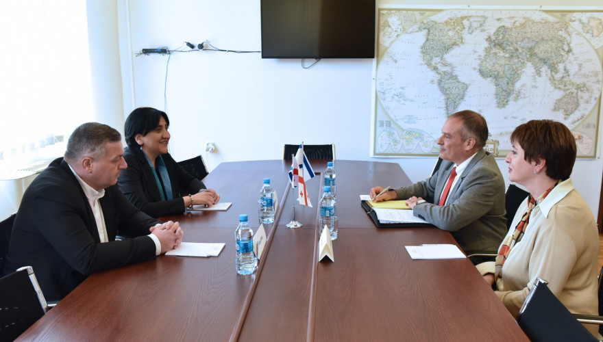 The meeting of Irma Inashvili with the Ambassador of Israel