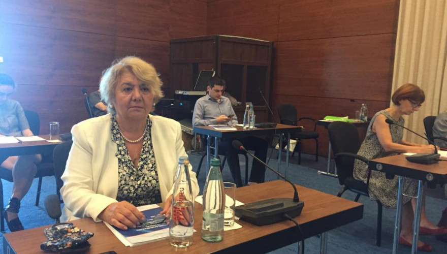 Guguli Magradze participating in the consideration of the Outcomes of the Research Project “Facilitation Conflict Transformation”