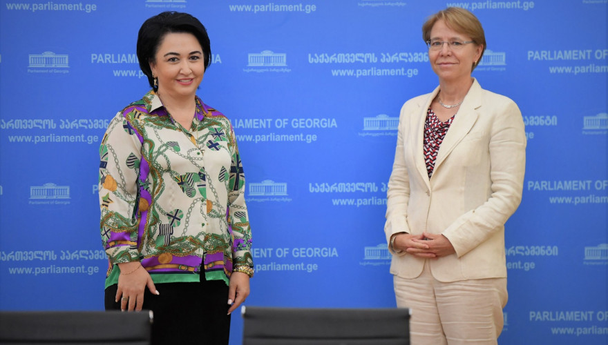 The meeting of Eka Beselia with the Ambassador of the Netherlands