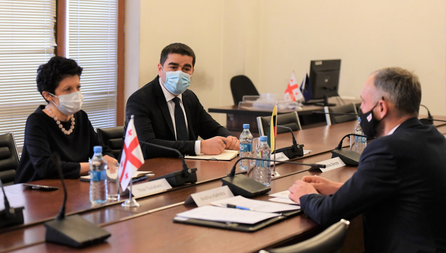 The meeting of Tea Tsulukiani with the Ambassador of Lithuania