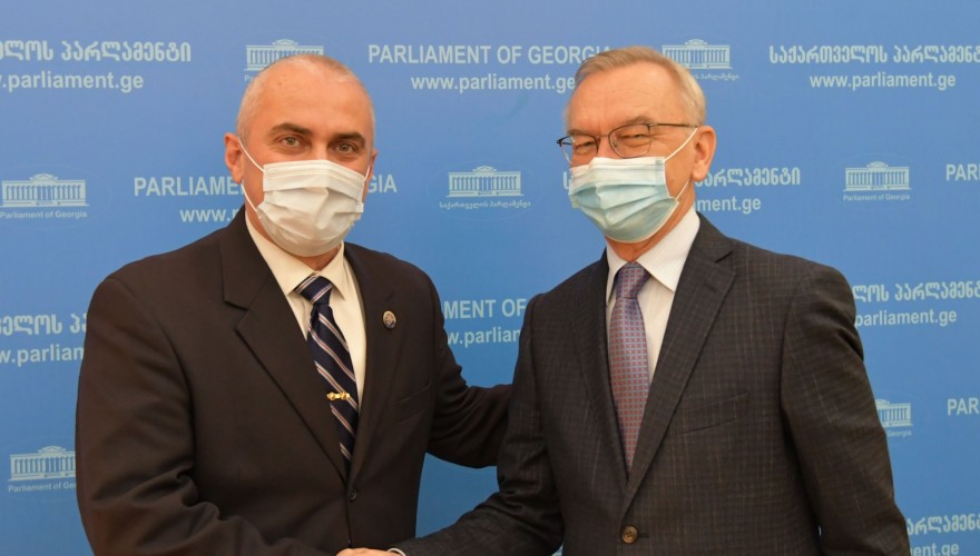 Meeting of Vladimer Chachibaia with Ambassador of Ukraine