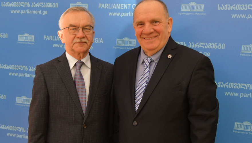 Meeting of Givi Chichinadze with Ambassador of Ukraine