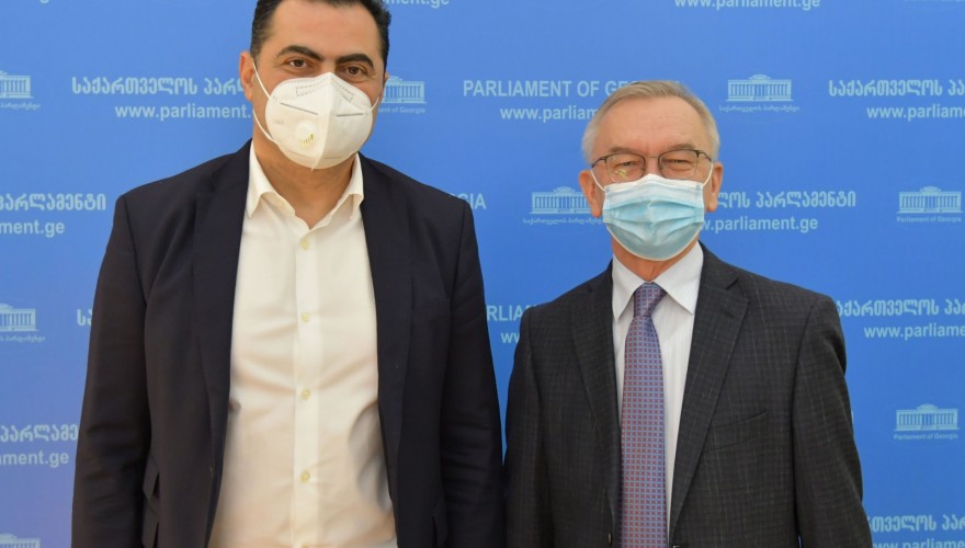 ალექსანდრე მოწერელია უკრაინის ელჩს შეხვდა