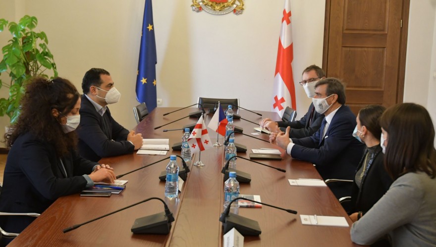 ალექსანდრე მოწერელია ჩეხეთის ელჩს შეხვდა